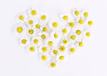 飛び込み営業：まとめ