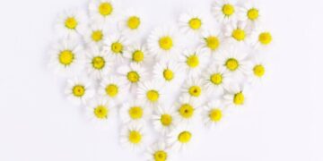 飛び込み営業：まとめ